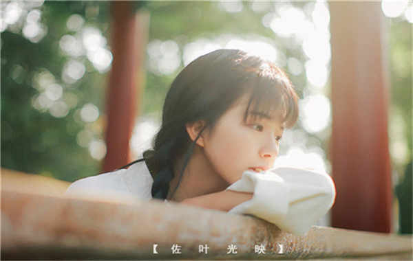 湛河胎儿性别鉴定需要多少钱(胎儿性别鉴定的方法)